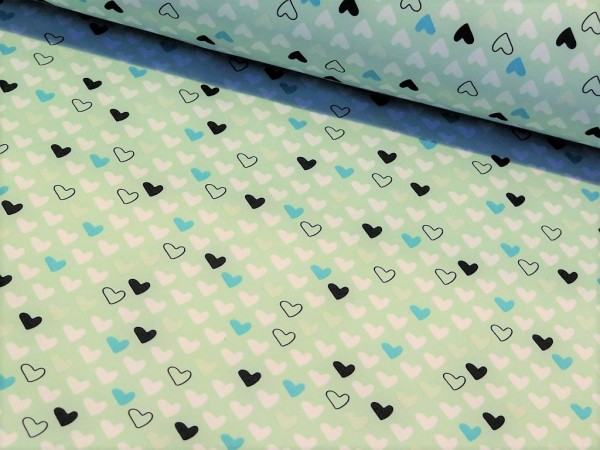 Nano Softshell "Sheldon" mint