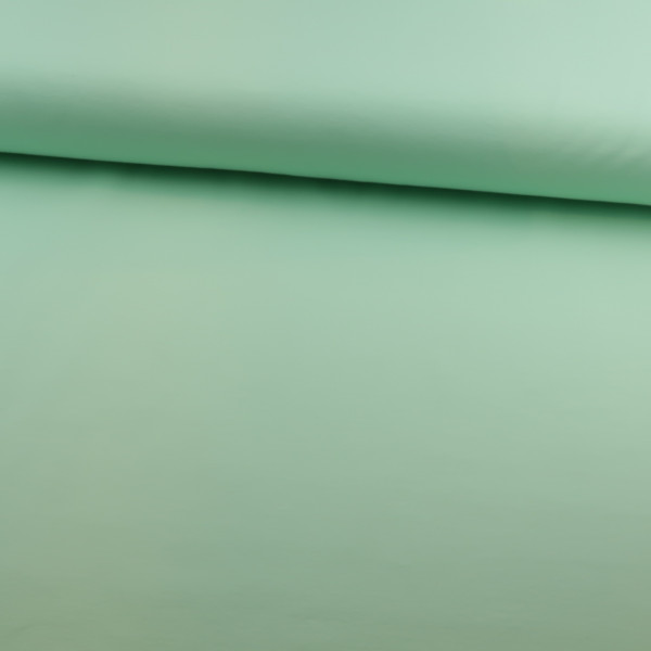 Baumwolljersey "mint"
