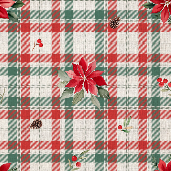 Canvas "Weihnachtsstern"