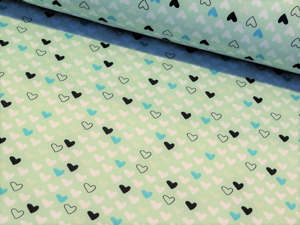 Nano Softshell "Sheldon" mint