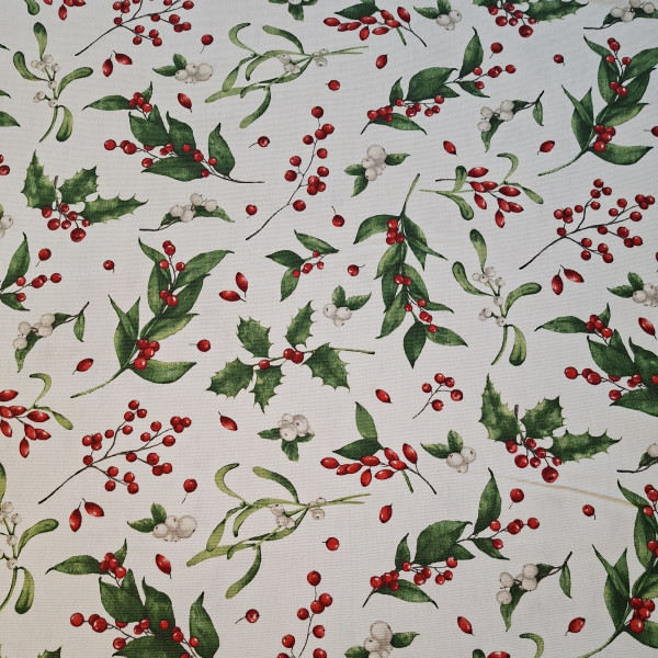 Canvas "Mistelzweige"