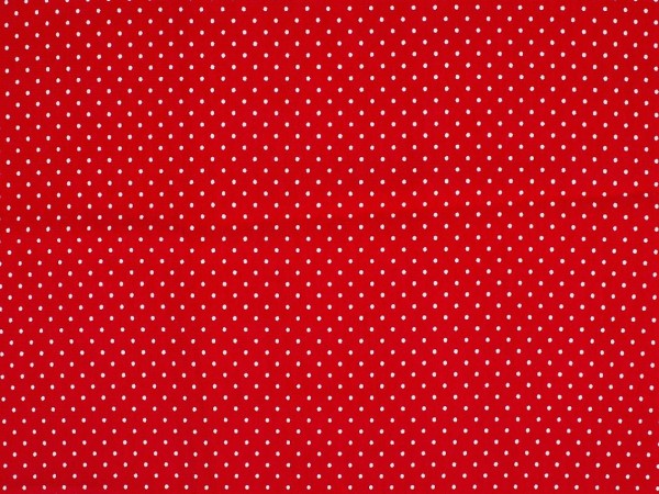 Baumwolljersey "Dots" rot