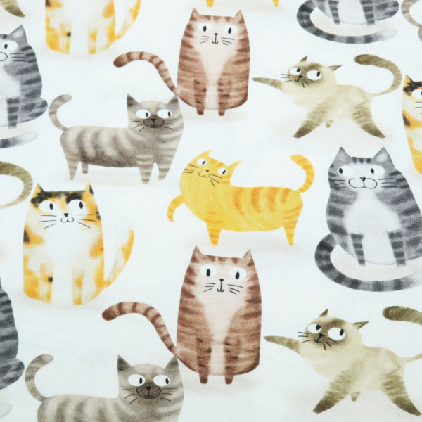 Canvas "Katzen" ecrü