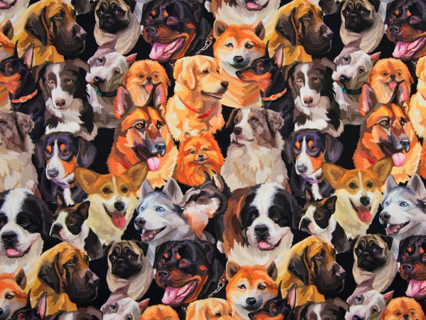 Baumwolljersey "Hunde" schwarz-braun