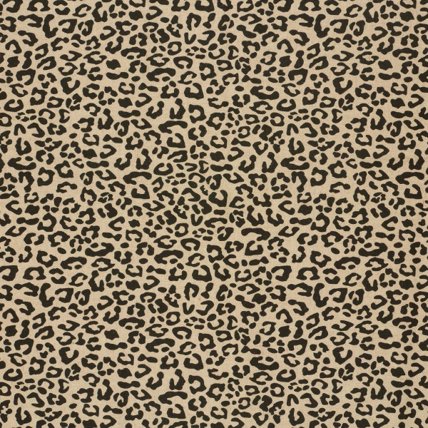 Canvas "Leo" klein