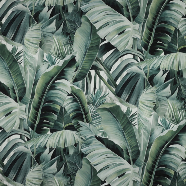 Canvas "Jungle"