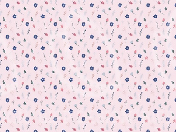 Baumwolljersey "Gina Flower" rosa