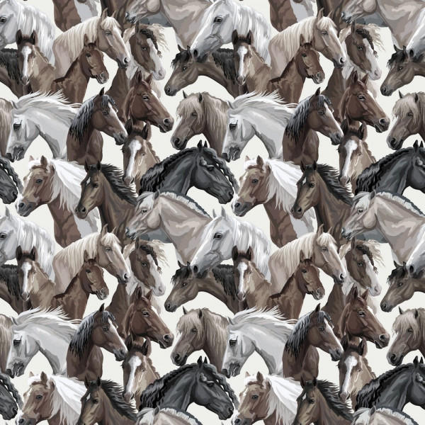 Canvas "Pferde"