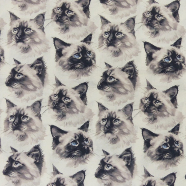 Baumwollstoff "Cats"