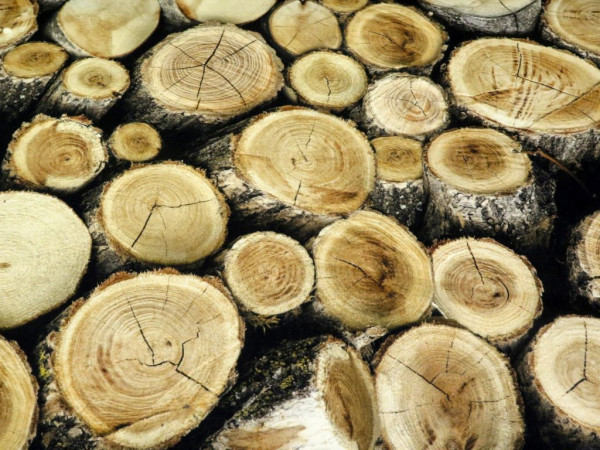 Canvas "Holzstücke"